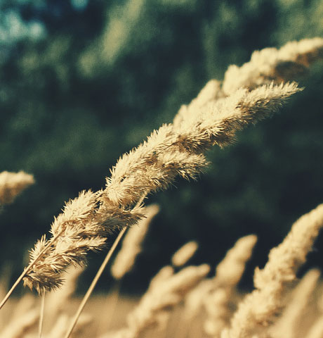 ddos压力在线测试平台